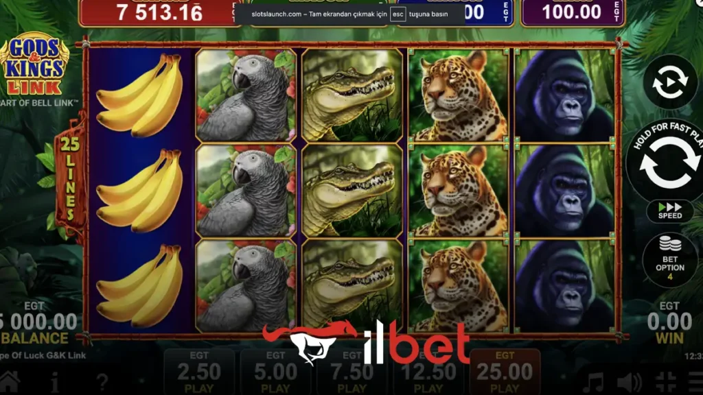 İlbet egt digital sağlayıcısı